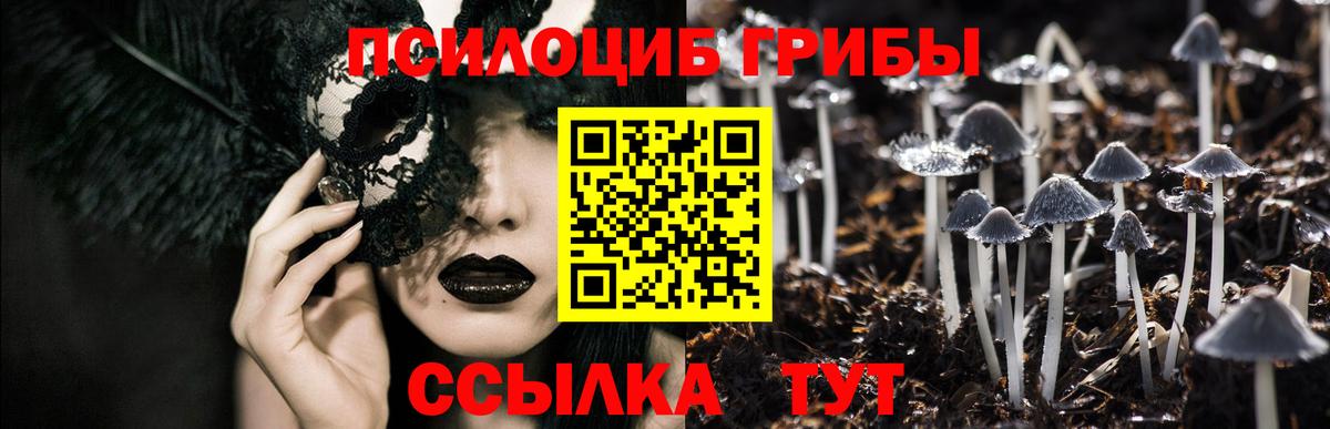 Костомукша  Псилоцибиновые грибы GOLDEN TEACHER  Вход с VPN 