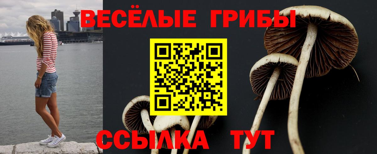 Псилоцибиновые грибы Psilocybine cubensis Костомукша